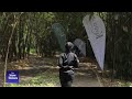 #KwitaIzina 2022: 20 New born Gorillas will be named