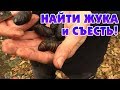 [ЗОЖ] КАК НАЙТИ ЖУКА И СЪЕСТЬ? КИТАЙСКАЯ ЕДА 🐞 ОБЗОР