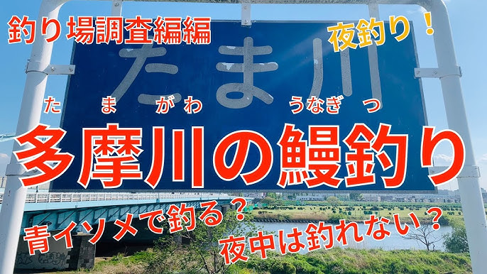 多摩川で0時から5時まで釣りをした結果 ウナギは釣れるのか 意外な大物がヒット Youtube