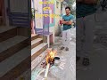 భోగి శుభాకాంక్షలు #youtubeshorts #manglagiri #family #trending #love#@krishnarao7048