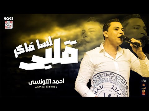 لسا فاكر قلبى 2023 احمد التونسى 2023 باقوى احساس فى مصر 2023