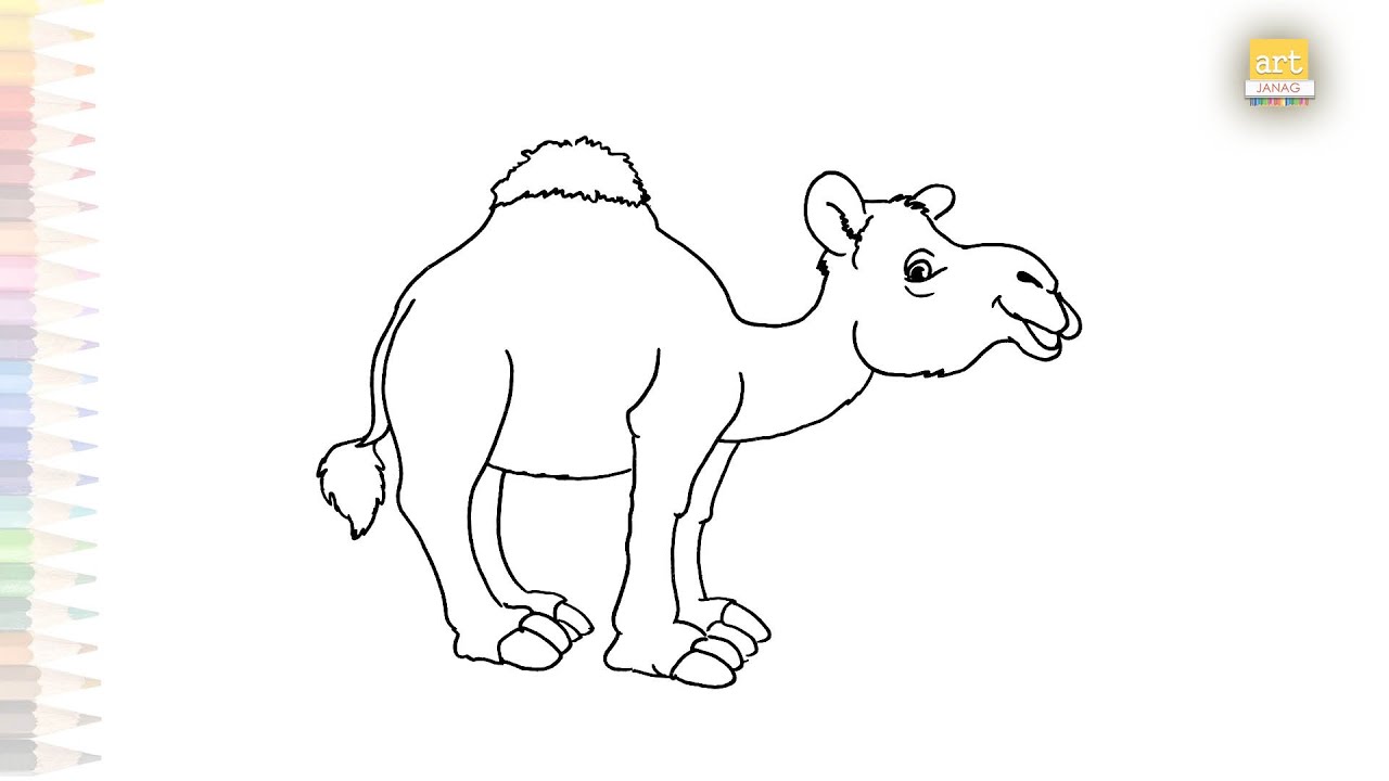 Baby camel drawing easy | Animal drawing tutorials | How to draw A ...