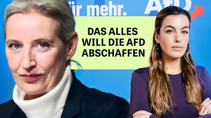"Alternative Finanzakrobatik": Woher nimmt die AfD 154 Milliarden Euro? AfD-Wahlprogramm im Check