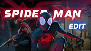 SPIDERMAN ACROSS THE SPIDERVERSE ll LILLBUBBLEGUM