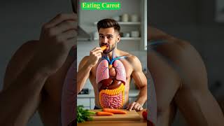Eating carrot
