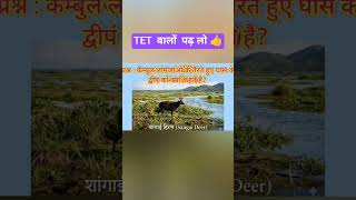EVS Important Questions for UPTET &amp; CTET 2026 | Short Revision,@ Eduaspiresid #shorts