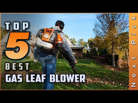 Top 5 Best Gas Leaf Blowers Review in 2022