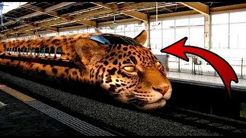 Top 10 Fastest Trains in The World 2019 || Amazing Compilation of the High speed Trains 2019