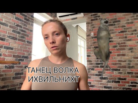 волк танцует ихвильнихт. волк танцует мем ихвильних. подготовительная группа танец тюря. пикник танец волка альбом. волк танцует ихвильнихт на зеленом фоне.