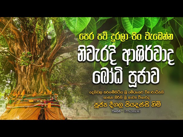 පිං වැඩෙන නිවැර​දි ආශිර්වාද බෝ​ධි පූජා​ව |  පූජ්‍ය දීගල පියදස්සි හිමි. class=