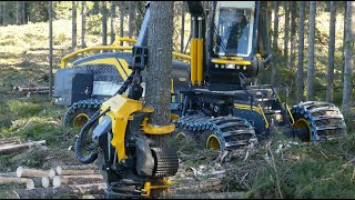 Nya Eco Log 688G - 8Wd Skördare Med Mer Kraft