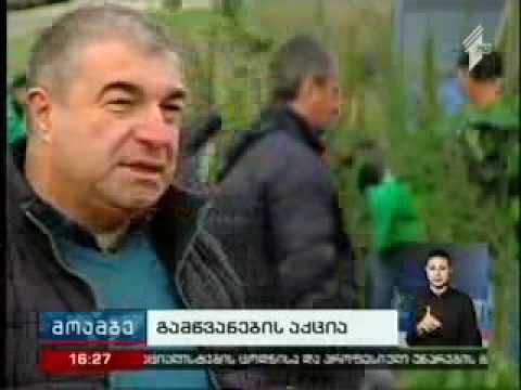 ისნის რაიონში  გამწვანების აქცია გაიმართა