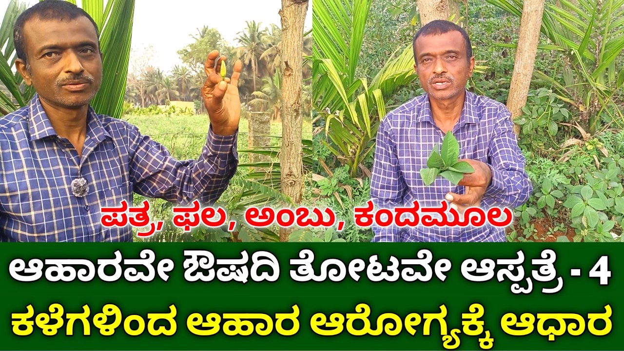 ಆಹಾರವೇ ಔಷದಿ ತೋಟವೇ ಆಸ್ಪತ್ರೆ - 4 | ಕಳೆಗಳಿಂದ ಆಹಾರ | wild edible plants in kannada |  edible weeds