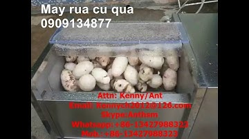 máy chà rửa củ quả, máy cạo vỏ khoai lang, khoai môn, máy cạo chà vỏ khoai tây, máy rửa khoai sọ