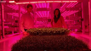 Growing Plants w/ LED Technology - Bang Goes The Theory - Brit Lab - BBC