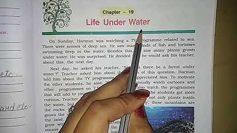 Class 5th  Lesson 19 Life under water