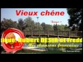 Vieux chne  tempo   ren jean michel