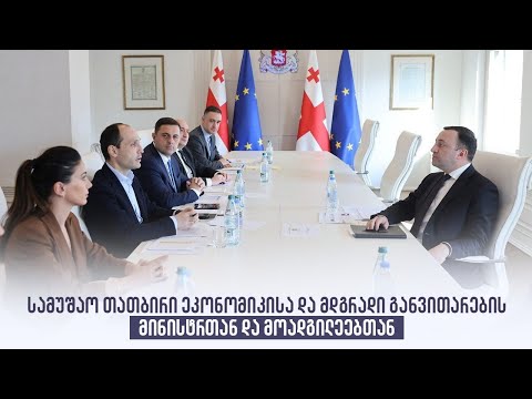 სამუშაო თათბირი ეკონომიკისა და მდგრადი განვითარების მინისტრთან და მოადგილეებთან