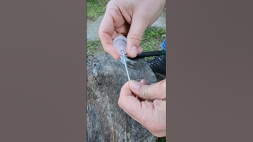 🔥 Survival Hack: Crack Hazelnuts Without Hurting Your Fingers! 🌰👌