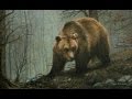 My eternal inspiration | Wildlife paintings | Velebit