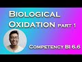 Biological oxidation part 1  atp mitochondria oxidoreductases and substrate level phosphorylation