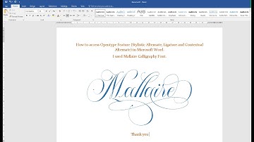 How to access Opentype Feature (Ligature, Stylistic and Contextual Alternate) in Microsoft Word