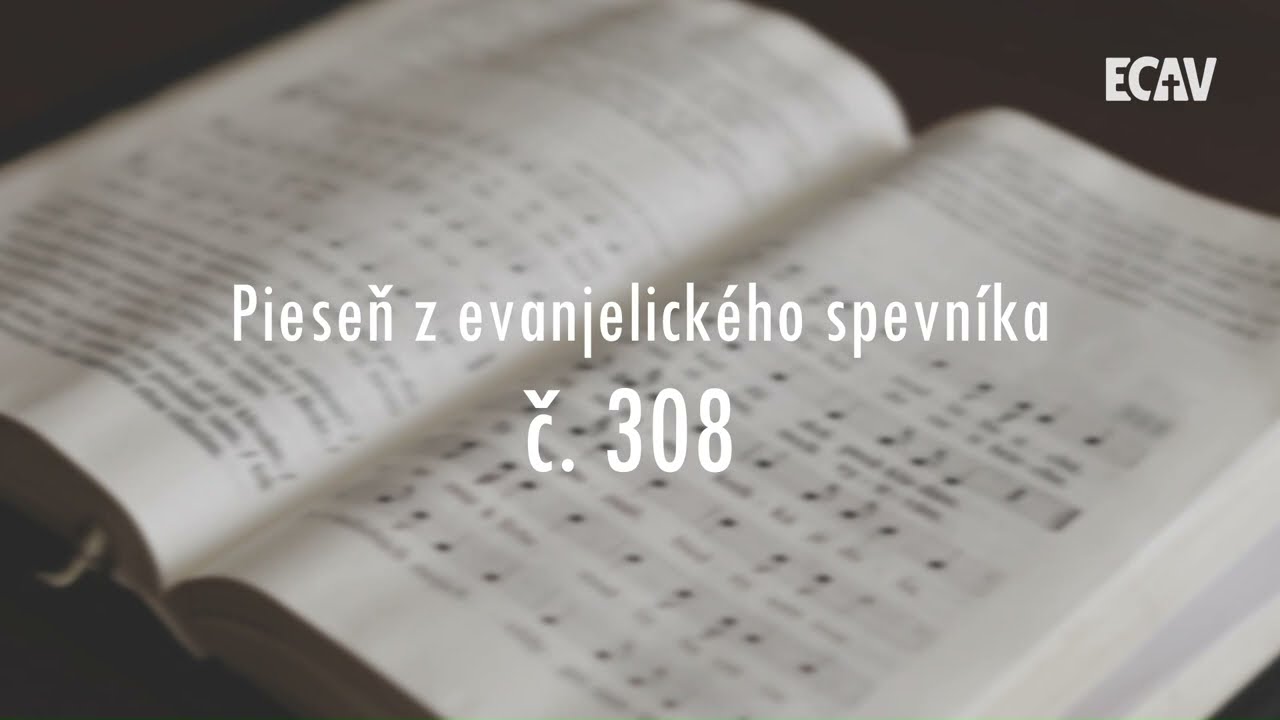 ES 308 Modli sa často