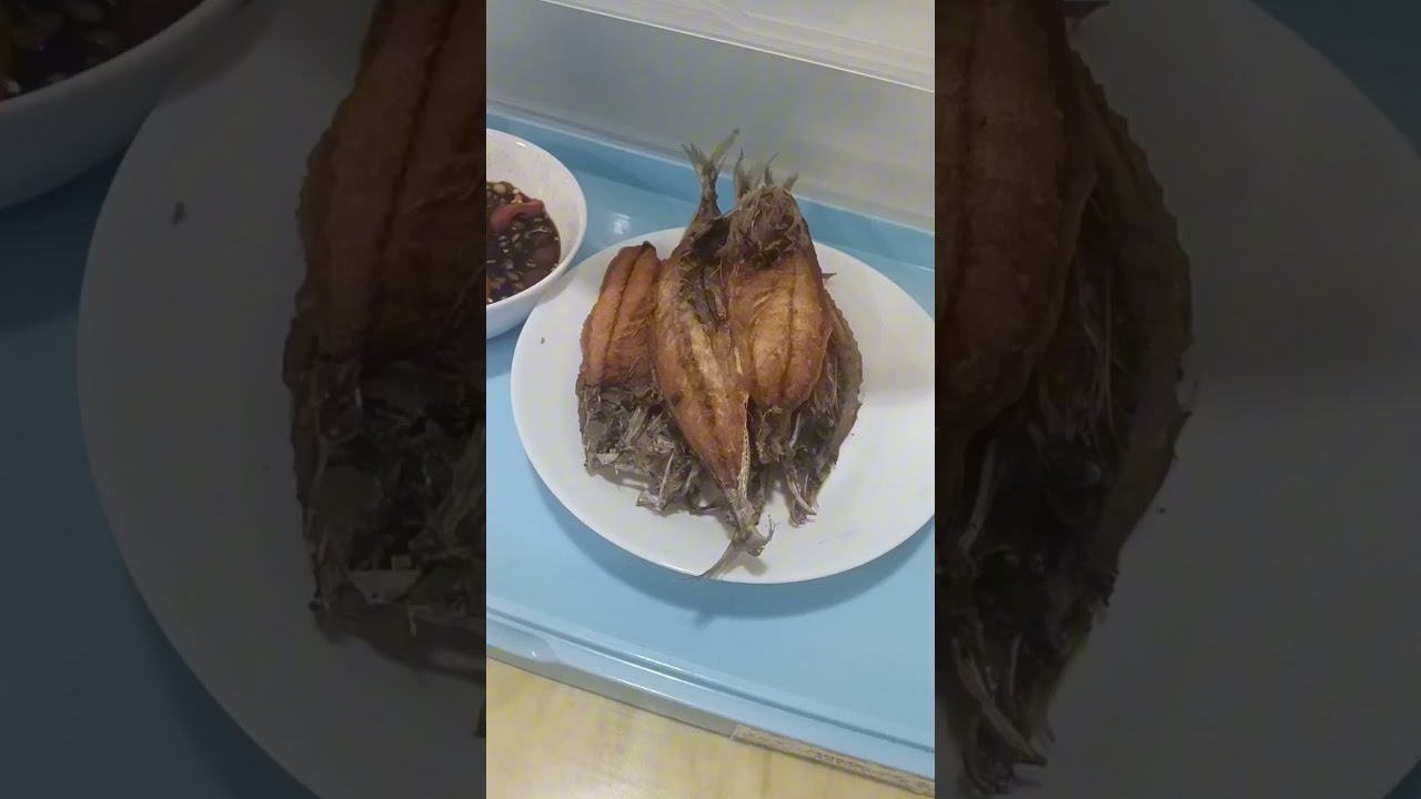 In A Day in Life😁😅