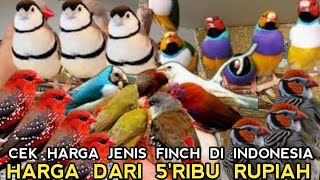 UPDATE HARGA JENIS BURUNG FINCH DARI 5'RB RUPIAH DI PASAR BURUNG PRAMUKA