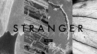 Stoondio - Stranger (แธม) Audio Lyrics