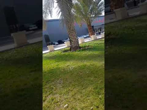 محل على كيفك فرع تبوك    السعودية ترند    تبوك جدة الرياض