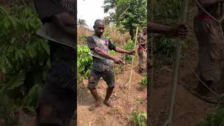 Download Lagu #dance #oba #dancer #obo MP3 Download Lagu #dance #oba #dancer #obo MP3