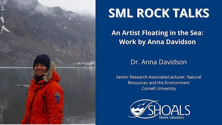An Artist Floating in the Sea: Work by Anna Davids...