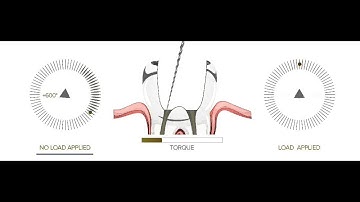 TF Adaptive - Adaptation in Motion (EN)