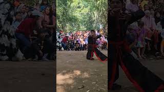 mas ganteng mode siaga bantengan psb. #bantengan #mberot #jaranan #barongan