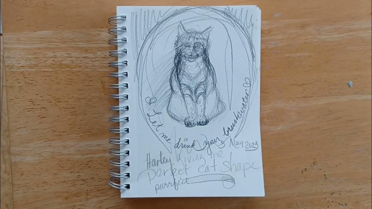 Drawing from Life and Giving the Drawing Life YouTube