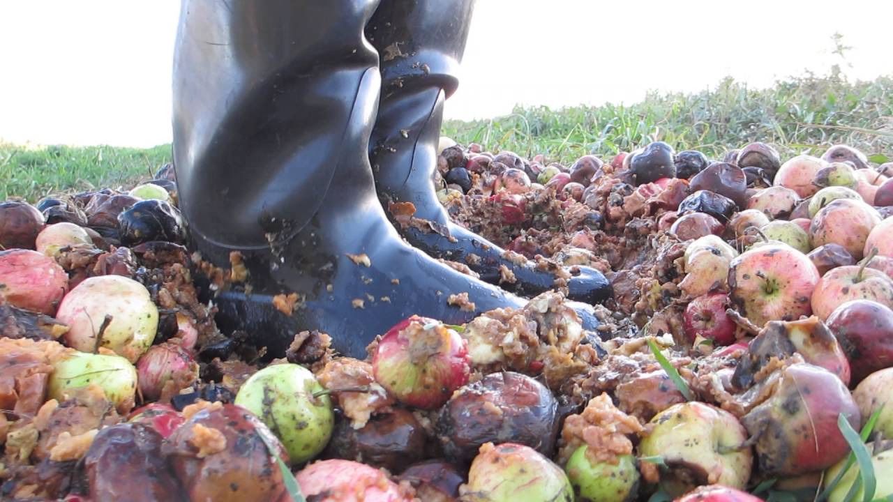Smashing apples with my rubber boots, part 1 YouTube