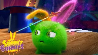 SUNNY BUNNIES COMPILATIONS  HOPPER'S MAGIC WAND | Cartoons for Kids