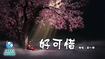 莊心妍 - 好可惜（我沒有放棄，只是不見你。）【動態歌詞 lyrics by 泥豆音樂Nido Music】