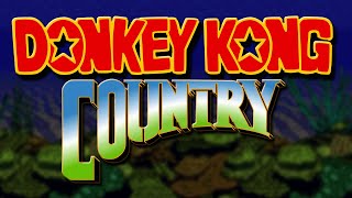 Donkey Kong Country is Pretty Based