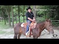 How to Apply Dally Wrap to Your Saddle Horn