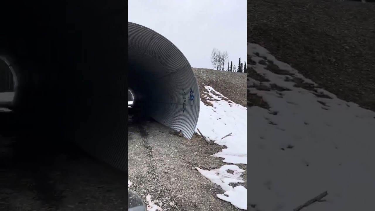 Splorin New Alaskan Trails!