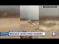 Video captures major mudslide in California