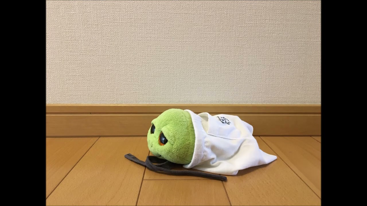 Our ty beanie boos " Butter's apron "