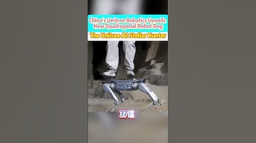 China‘s Unitree Robotics unveils new quadrupedal #RobotDog, the #UnitreeA2 Stellar Hunter #likechina
