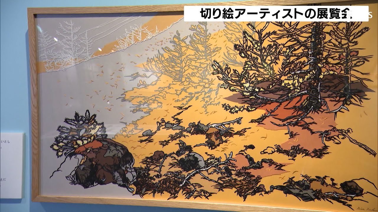 すべて切り絵で表現した緻密な作品切り絵アーティスト 福井利佐さんの展覧会 静岡県静岡市 Youtube