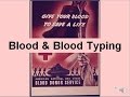 Blood Types and Their Functions