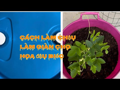 Video Cách làm thùng chậu cho cây và chia sẻ làm giàn cho... - youtube