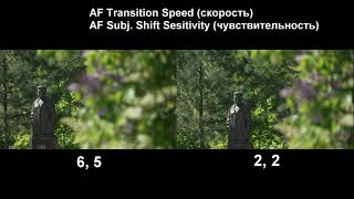 SONY a7IV . AF operating speed.