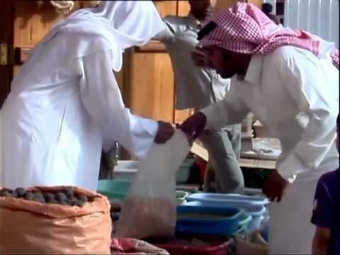 مستشفى الموسى العام بالأحساء الفيلم الوثائقي